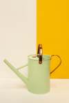 4.5L Watering Can - Cucumber Vine
