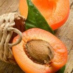 Apricot Concentrate - 50ML