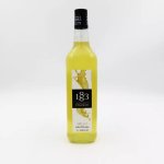 Slojo – Pina Colada – 1883 1L