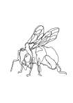 Bee Single Line Art Print - A3