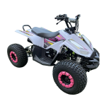 110CC 4 Stroke Mud Hawk Quad Tao Motor + Remotes - Blue For 12 Years +