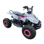 110CC 4 Stroke Mud Hawk Quad Tao Motor + Remotes - Blue For 12 Years +