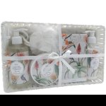 Jenam A South African Celebration Botanical Basket
