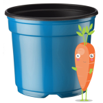 Medium Pots - Blue