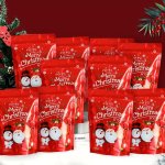 10PCS Christmas Pearl Candy Gift Bags Christmas Party Decoration Bags
