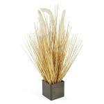 Beige Grass Stems