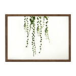 String Of Pearls V Art Print - A3