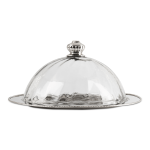 Elegant Glass Cake Dome