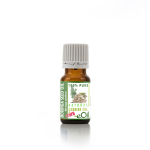 Moringa Oil Seed Natural Carrier Moringa Oleifera - 10 Ml
