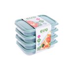 Sage 500ML Lunchbox 4PC -