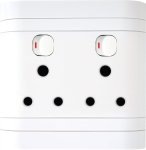 Double Switch Socket 4X4 L44DSW