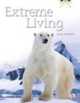 Bc Nf Turquoise B 1A Extreme Living Paperback