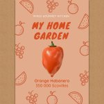 Orange Habanero Chilli Pepper Grow Kit