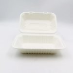 Box – Sugarcane 1 Compartment Square 50
