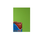 Butterfly A4 Bright Board 10S Green