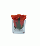 Square Vase 6CM X 6CM X 6CM