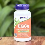 Egcg 400MG 90 Capsules Now Foods