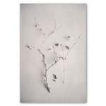 Alabaster Forest 1 Art Print - 100CM X 150CM No Frame Print Only