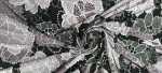 Viscose Floral