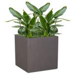 Cube Plant Pot - Large 500MM X 500MM X 500MM Amper