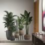 2pcs Creative Wall Sticker Tropical Green Plant Potted Pattern Self-Adhesive Wall Stickers Bedroom Entryway Living Room Porch Home Decoration Wall Stickers Removable Stickers Wall
