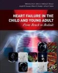 Heart Failure In The Child And Young Adult - From Bench To Bedside Paperback