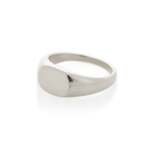 Oval Signet Ring In Silver