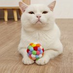 1PC Fashion Interactive Cat Ball Toy - Stimulate Your Indoor Cat's Natural Instincts With Fun Chew Toys