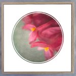 Foraged Texture Rounds 1 Art Print - 30 X 30CM Framed Canvas With Natural Wood Frame