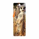3D Livelife Bookmark - Meerkat Gaze From Deluxebase. Cute Lenticular Meerkat Page Marker. Animal Themed Accessories For Book Lov
