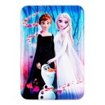 Disney 5000MAH Powerbank Frozen II