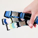 Noiseless Pet Id Tag - Small - 1.5CM W X 3CM L Blue If I'm Out I'm Lost. Call My Human