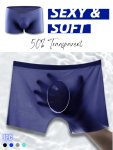 Men's Underwear Ice Silk Traceless Plain Color Semi-sheer Boxers Briefs Cool Transparent Breathable Soft Medium Stretch Comforta