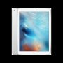 12.9 Ipad Pro 1ST Gen 32GB