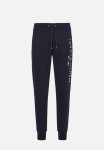 Tommy Hilfiger Tommy Logo Sweatpants - Desert Sky