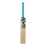 Prism Pro 4.0 H Cricket Bat