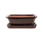 Assorted Glazed Bonsai Pots With Saucer 8" - Black Rectangle With Matching Saucer 20 X 15 X 6CM