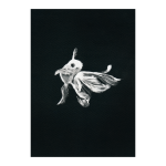 Goldfish Art Print
