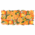 Vinyl Transfer Border Oranges
