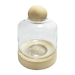 Glass Dome Greenhouse 28CM H X 20CM W - 28CM H X 20CM W