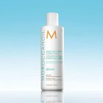 Moisture Repair Conditioner 250ML