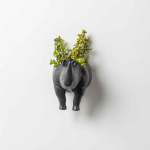 Rhino Wall Planter Head tail - Matt Black Head