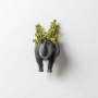 Rhino Wall Planter Head/tail - Matt Black / Head