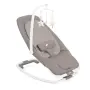 Joie Serina 2IN1 Swing