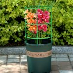 12-PACK Of Sturdy Adjustable Plant Stakes With Green Support Rings - Perfect For Promoting Flower Growth In Home And Outdoor Gar