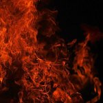 Black Fire Concentrate - 10ML