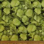 100% Tton PTD-35 Lettuce