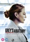 Grey& 39 S Anatomy - Season 17 DVD