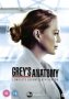 Grey& 39 S Anatomy - Season 17 DVD