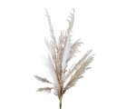 Plume On Stem Brown 98X20X10CM